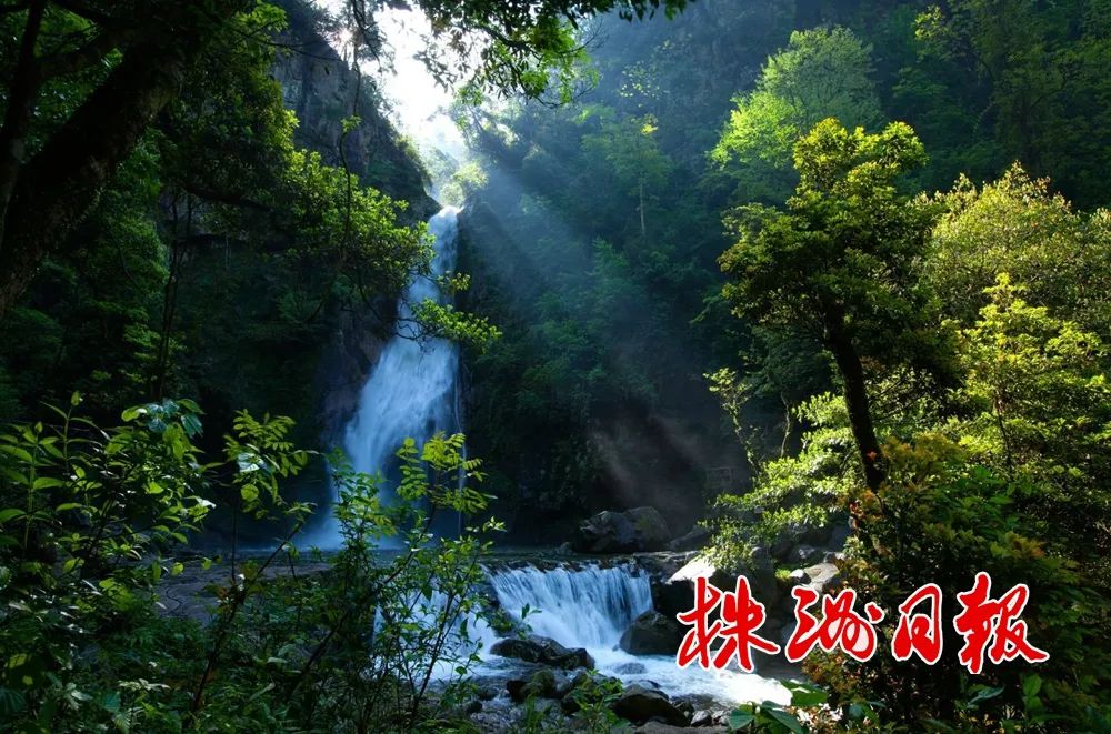 麟ٲDDƬ
